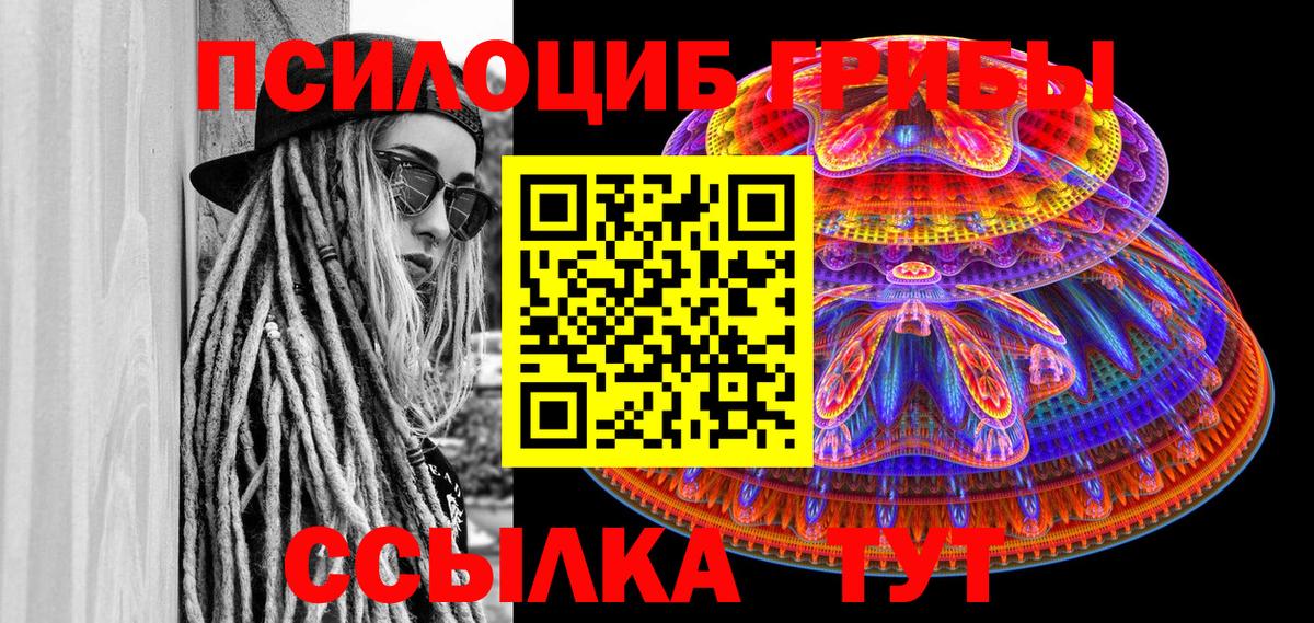 Псилоцибиновые грибы мицелий Саянск