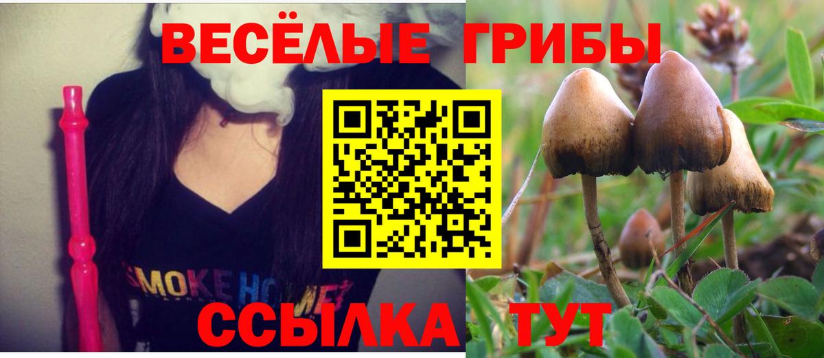 Галлюциногенные грибы Psilocybine cubensis  Псилоцибиновые грибы MAGIC MUSHROOMS  Саянск  Вход с VPN 
